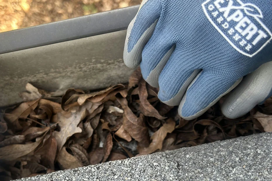 Gutter Cleaning Pelican Preserve