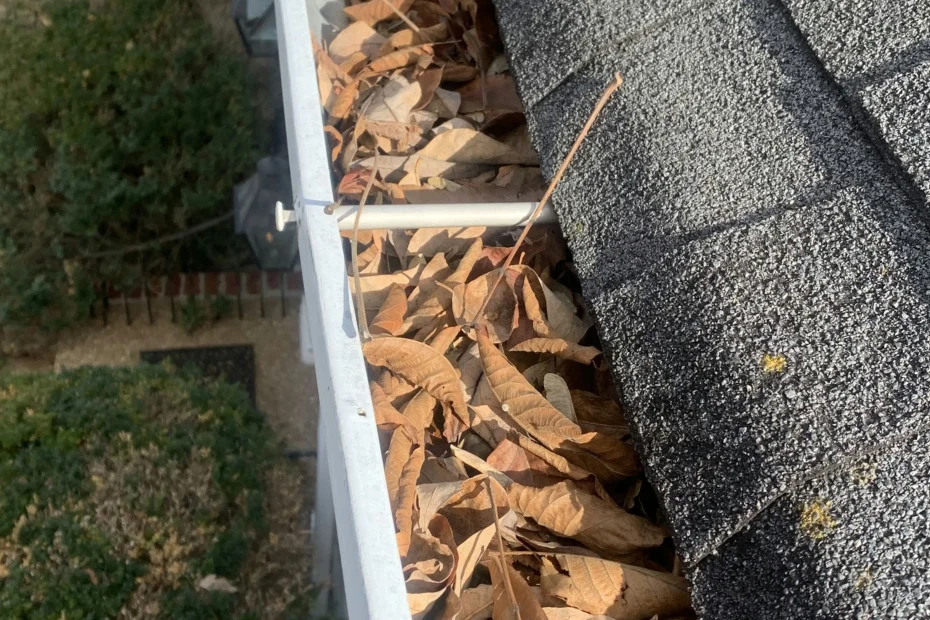 Gutter Cleaning Pelican Preserve