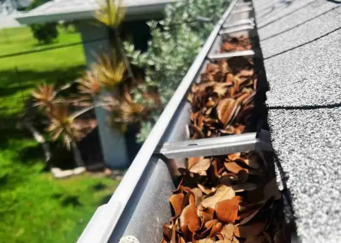 Gutter Cleaning Pelican Preserve home page